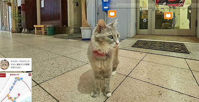 ձ㵺ξӪ