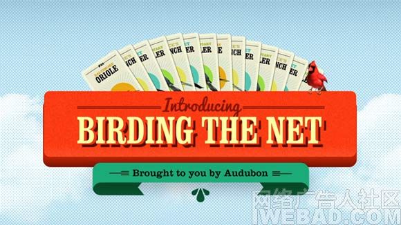Audubon环境组织公益案例《网络观鸟》