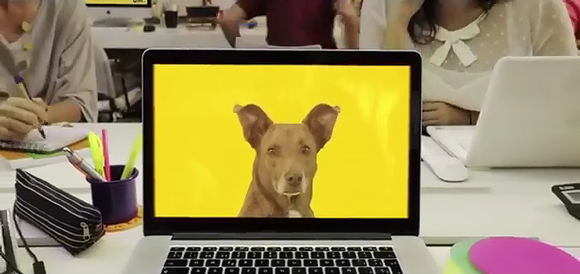 Pedigree公益狗狗救助创意活动