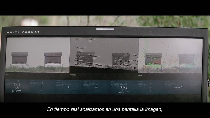 ɫƽ