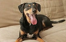 �������ﹷ����Ӫ�� ��������һ����