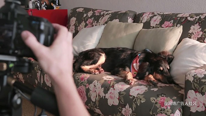 �������ﹷ����Ӫ���