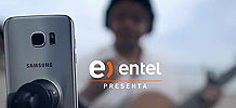 ³Ź˾EntelӪ ɢصݳ