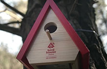 ��������General����Ӫ�� ���ݼ��