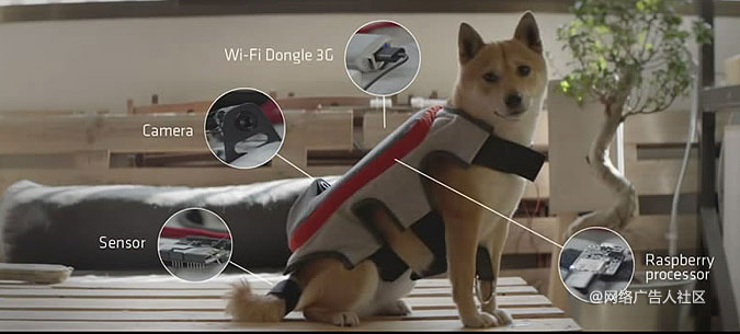 ��·������������Ӳ��