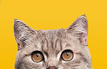 ôèƷMeow Mixഴ 
