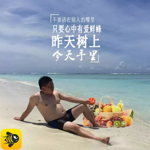 ;ţӪ