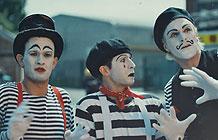 �ⲿ�ƾ��濴����ֲ�֪������