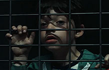 PEDIGREE����ʳƷ��� ����