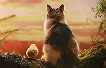 ӢDreamiesè ͷֺܰ...