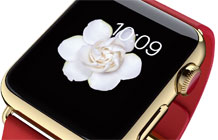 ֱˣһӿAppleWatchй