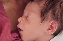 �ﱦ��������� ����֮��