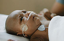 ���游�׽ڹ�� ӵ��������