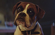 John Lewis 2016ʥڹ 涺