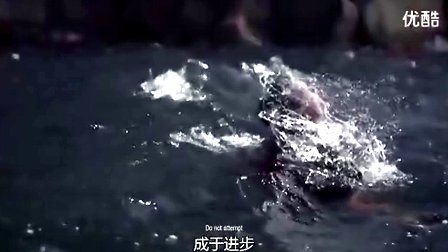 2014��������֮jeep�������