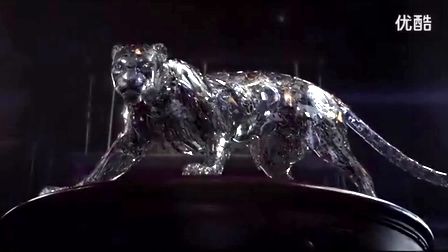 Cartier Shape Your Timeȫ¹